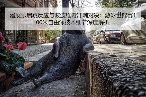 pan-zhan-le-qi-tiao-fan-ying-yu-bo-bo-wei-qi-chong-ci-dui-jue-you-yong-shi-jin-sai-mi-zi-you-yong-ji-shu-xi-jie-shen-du-3-333.jpg