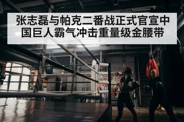 boxer training