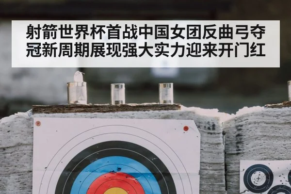 archery target